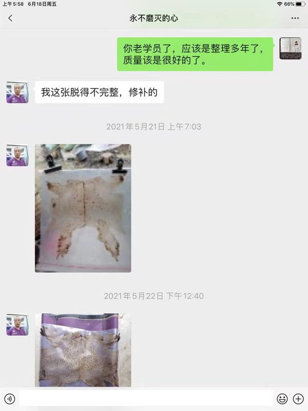 633f531d0345065adc8c6af8376e896.jpg