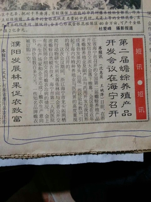 文章附图