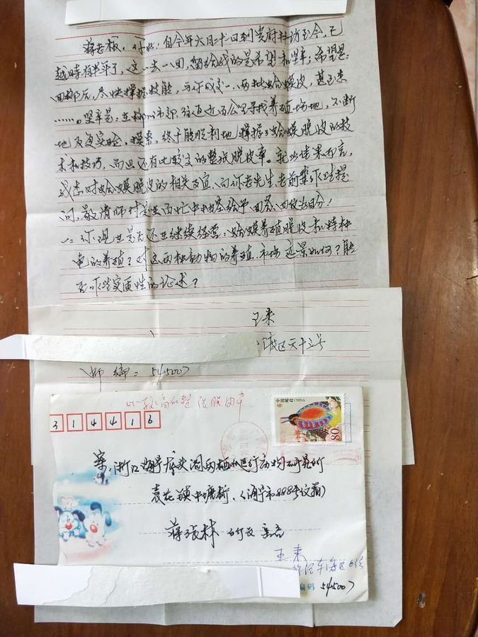 蒋老板:您好!自今年六月二十一日到贵府拜访至今,已越时有半年了,这一去一回,留给我的是希望和艰辛;希望是:回柳州后,尽快掌握技能,与您成交。两批蛤蟆皮(蟾衣)甚至想....艰辛是:在柳州的市郊,往返近百公里寻找养殖场地,不断的反复试验摸索,终于能胜利的掌握蟾蜍脱衣的技术和技巧,而且还有比较高的整张脱衣率。就此结果而言,我想.jpg