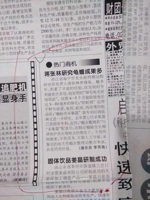 文章附图