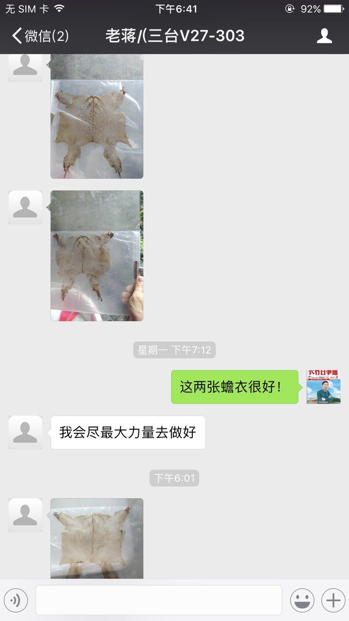 老蒋三台:发来两张蟾衣图片。蒋张林:这两张蟾衣很好。老蒋三台:我会尽最大力量去做。.jpg