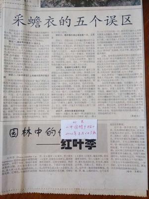文章附图