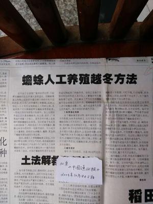 文章附图