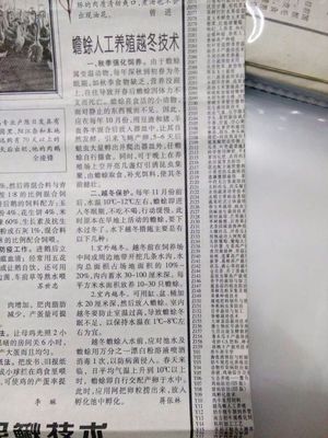 文章附图