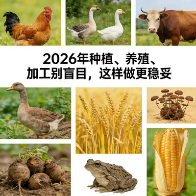2026329.jpg