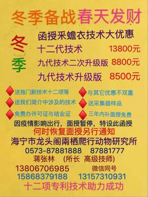 冬季备战、春天养蟾采衣早入手.jpg