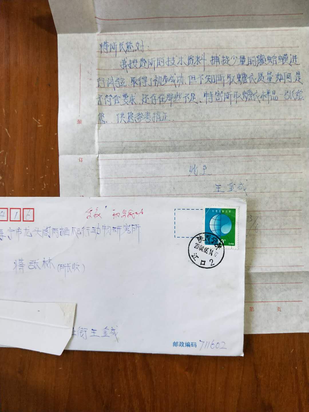 蒋所长你好:我按贵所的技术资料捕捉少量的癞蛤蟆进行试验,取得了初步成功,但不知所取蟾衣质量如何,是否符合要求,还存在哪些不足,特寄所取蟾衣样品一张给您,供您参考指正。王金成2004年6月.jpg
