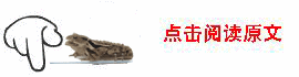 蟾蜍公众号阅读原文动图_conew1.gif